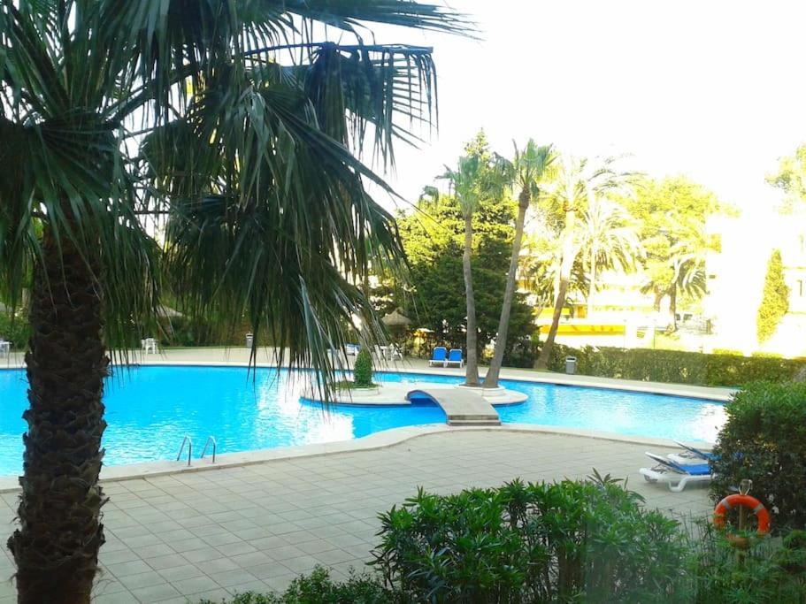 Ferienwohnung Piso Moderno Con Piscina Siesta 2 Port d'Alcúdia Exterior foto