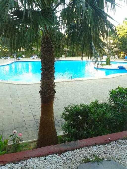 Ferienwohnung Piso Moderno Con Piscina Siesta 2 Port d'Alcúdia Exterior foto